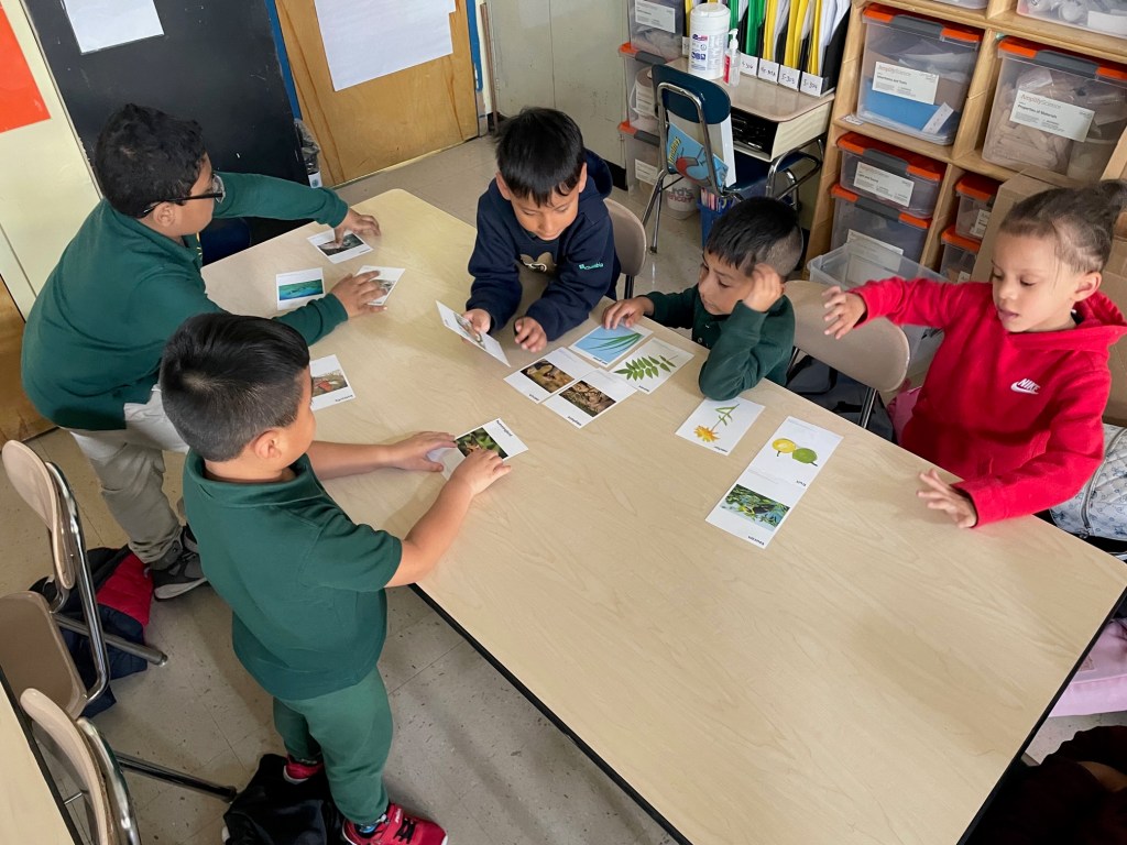 Students are looking at the materials in front of them to prepare for a discussion