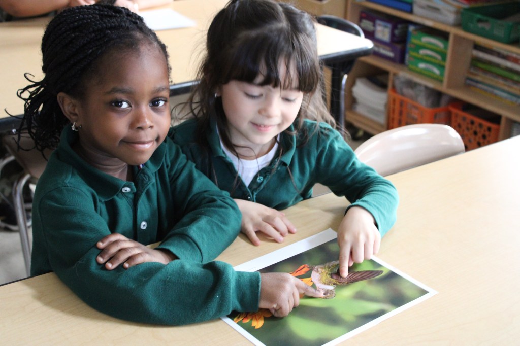 Students are looking at pictures of different animals while thinking what they might need to survive and thrive