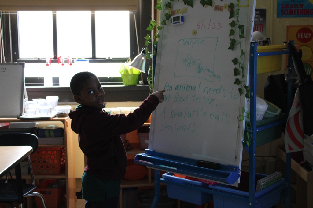 Student is pointing at a sentence about animals needs