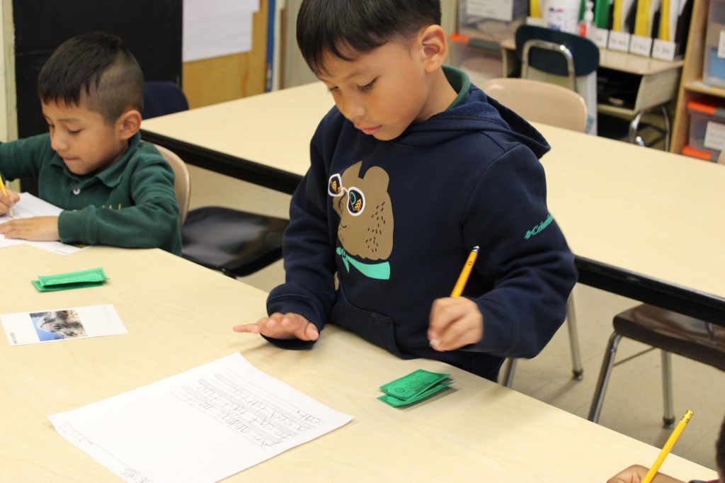 Students are working on their writing for science class