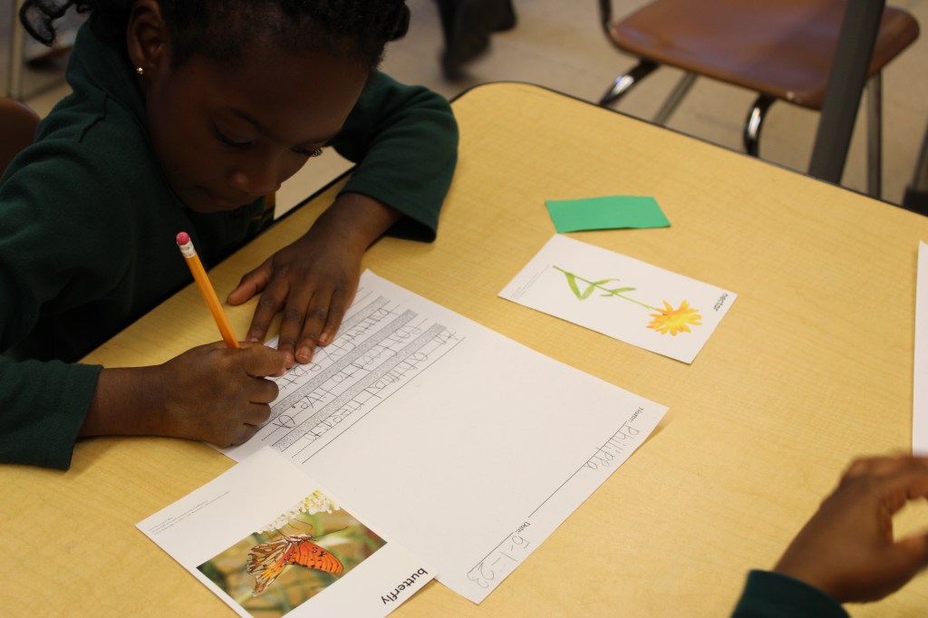 Students are working on their writing for their science class