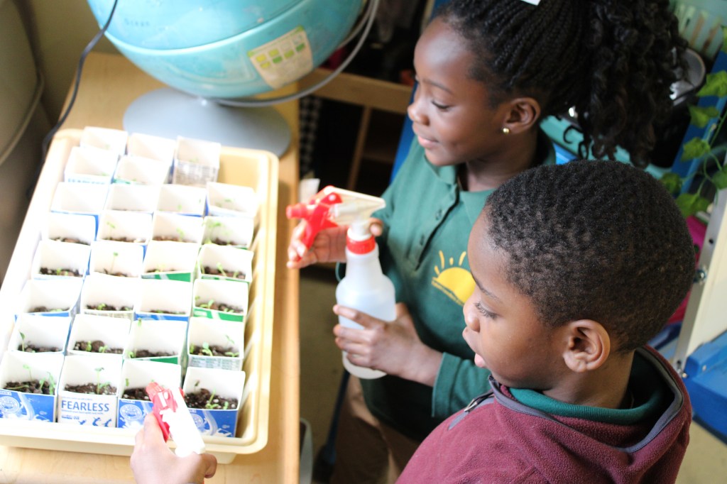 Ms. Kelly’s Kindergarten Science&nbsp;Class